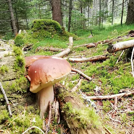 アパート - Nella Premium *